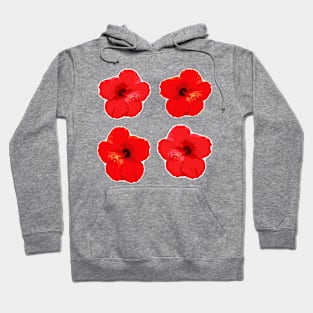 flowers Hoodie